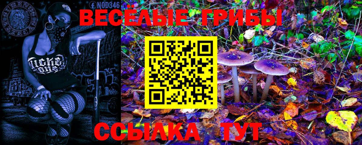 Галлюциногенные грибы Psilocybine cubensis Крымск